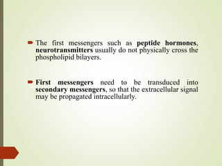  The first messengers such as peptide hormones,
neurotransmitters usually do not physically cross the
phospholipid bilayers.
 First messengers need to be transduced into
secondary messengers, so that the extracellular signal
may be propagated intracellularly.
 