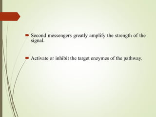  Second messengers greatly amplify the strength of the
signal.
 Activate or inhibit the target enzymes of the pathway.
 