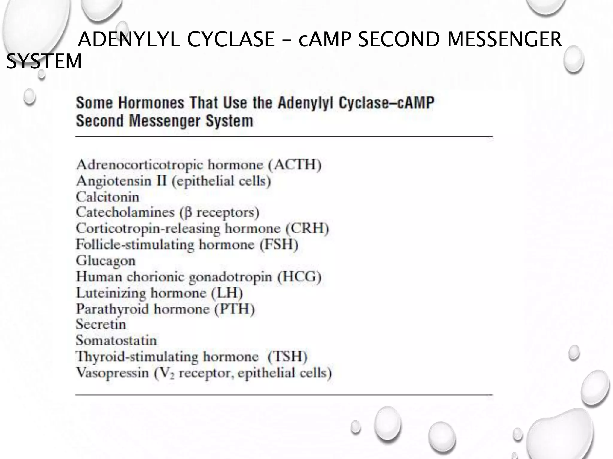 ADENYLYL CYCLASE – cAMP SECOND MESSENGER
SYSTEM
 