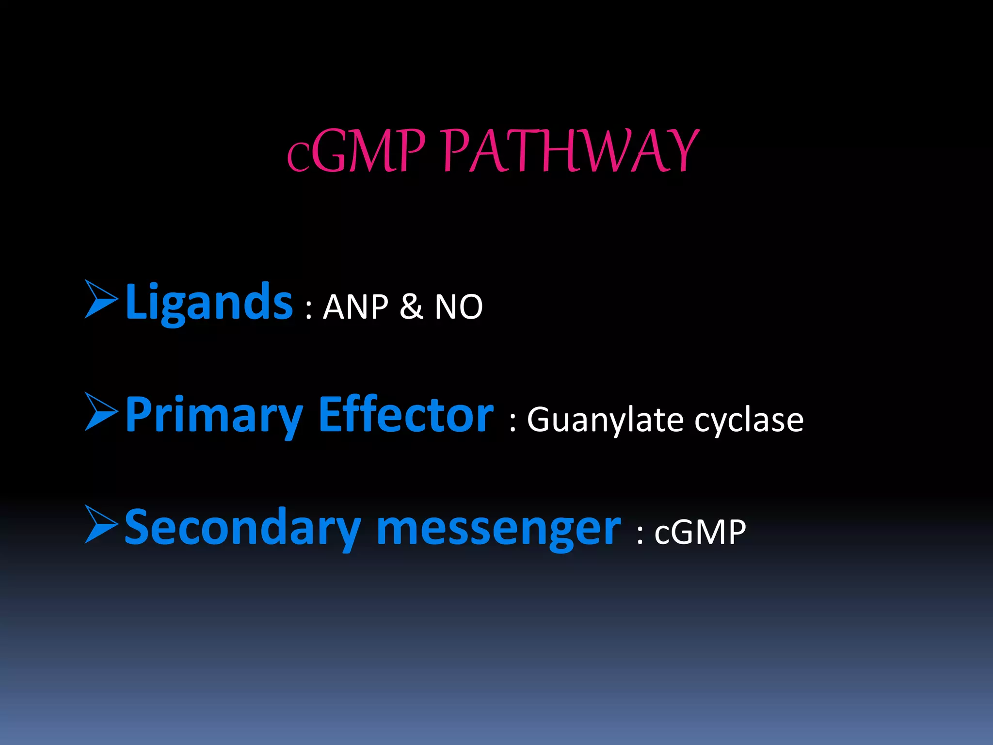 CGMP PATHWAY
Ligands : ANP & NO
Primary Effector : Guanylate cyclase
Secondary messenger : cGMP
 