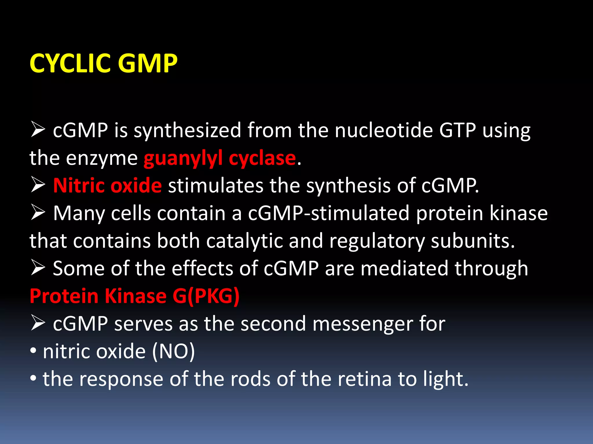 CYCLIC GMP
 cGMP is synthesized from the nucleotide GTP using
the enzyme guanylyl cyclase.
 Nitric oxide stimulates the synthesis of cGMP.
 Many cells contain a cGMP-stimulated protein kinase
that contains both catalytic and regulatory subunits.
 Some of the effects of cGMP are mediated through
Protein Kinase G(PKG)
 cGMP serves as the second messenger for
• nitric oxide (NO)
• the response of the rods of the retina to light.
 