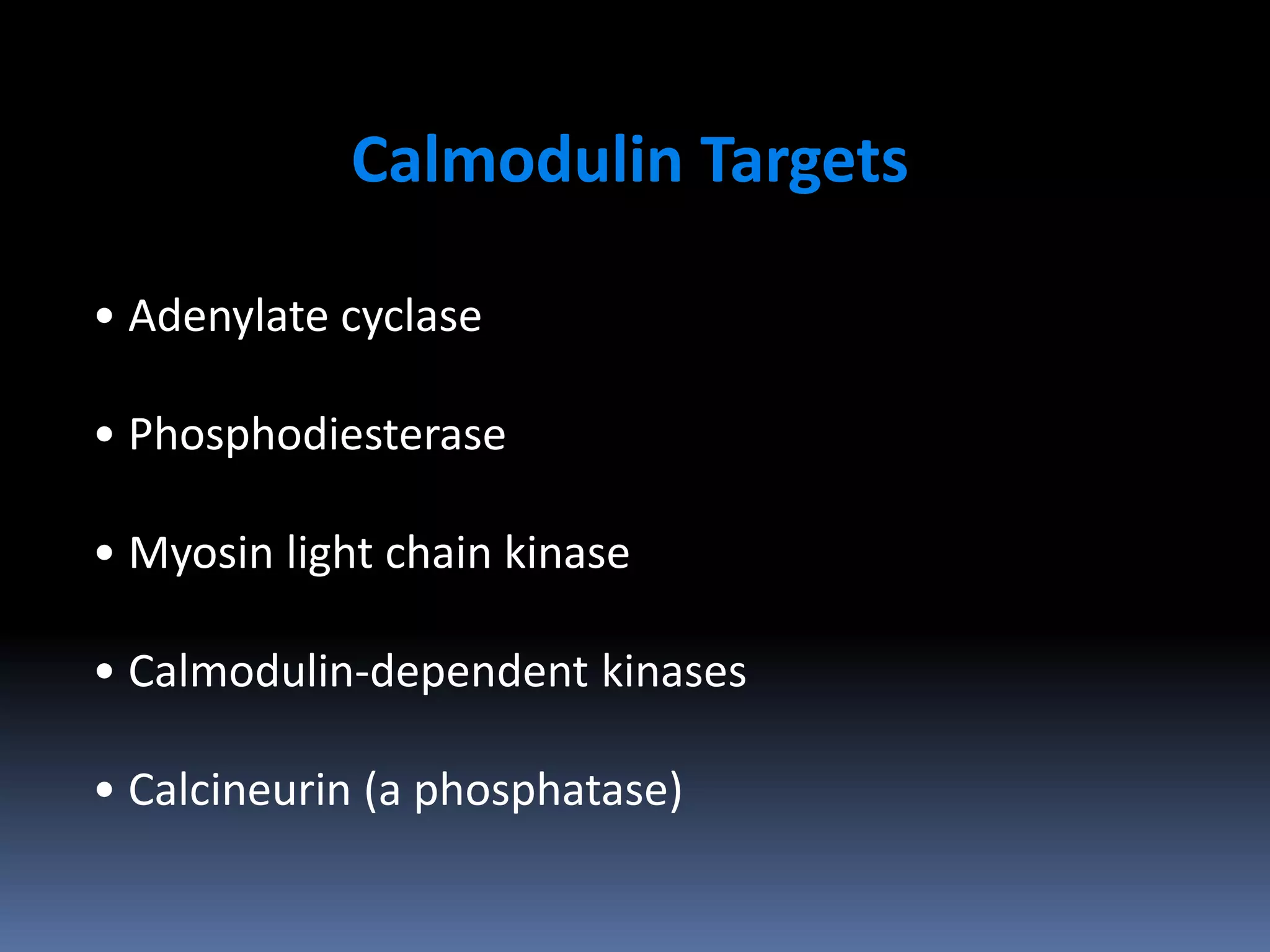 Calmodulin Targets
• Adenylate cyclase
• Phosphodiesterase
• Myosin light chain kinase
• Calmodulin-dependent kinases
• Calcineurin (a phosphatase)
 
