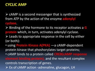 Secondary messengers system | PPTX