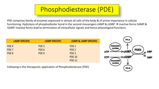 THERAPEUTIC APPLICATIONS OF PDE
 