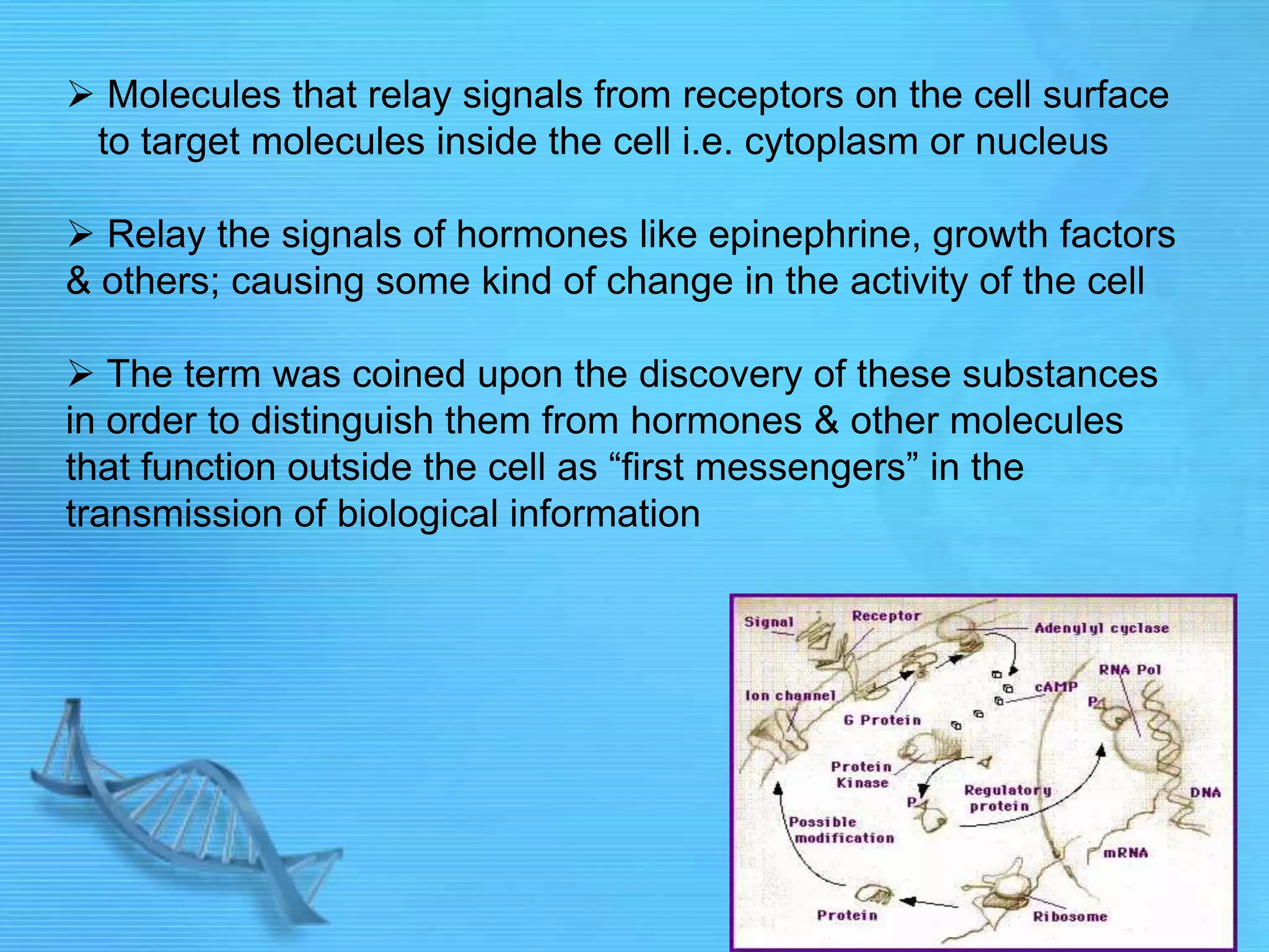  Molecules that relay signals from receptors on the cell surface
to target molecules inside the cell i.e. cytoplasm or nucleus
 Relay the signals of hormones like epinephrine, growth factors
& others; causing some kind of change in the activity of the cell
 The term was coined upon the discovery of these substances
in order to distinguish them from hormones & other molecules
that function outside the cell as “first messengers” in the
transmission of biological information
 