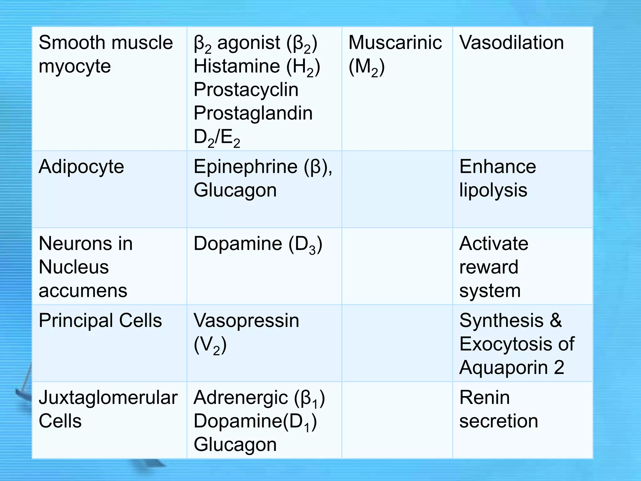 Smooth muscle
myocyte
β2 agonist (β2)
Histamine (H2)
Prostacyclin
Prostaglandin
D2/E2
Muscarinic
(M2)
Vasodilation
Adipocyte Epinephrine (β),
Glucagon
Enhance
lipolysis
Neurons in
Nucleus
accumens
Dopamine (D3) Activate
reward
system
Principal Cells Vasopressin
(V2)
Synthesis &
Exocytosis of
Aquaporin 2
Juxtaglomerular
Cells
Adrenergic (β1)
Dopamine(D1)
Glucagon
Renin
secretion
 