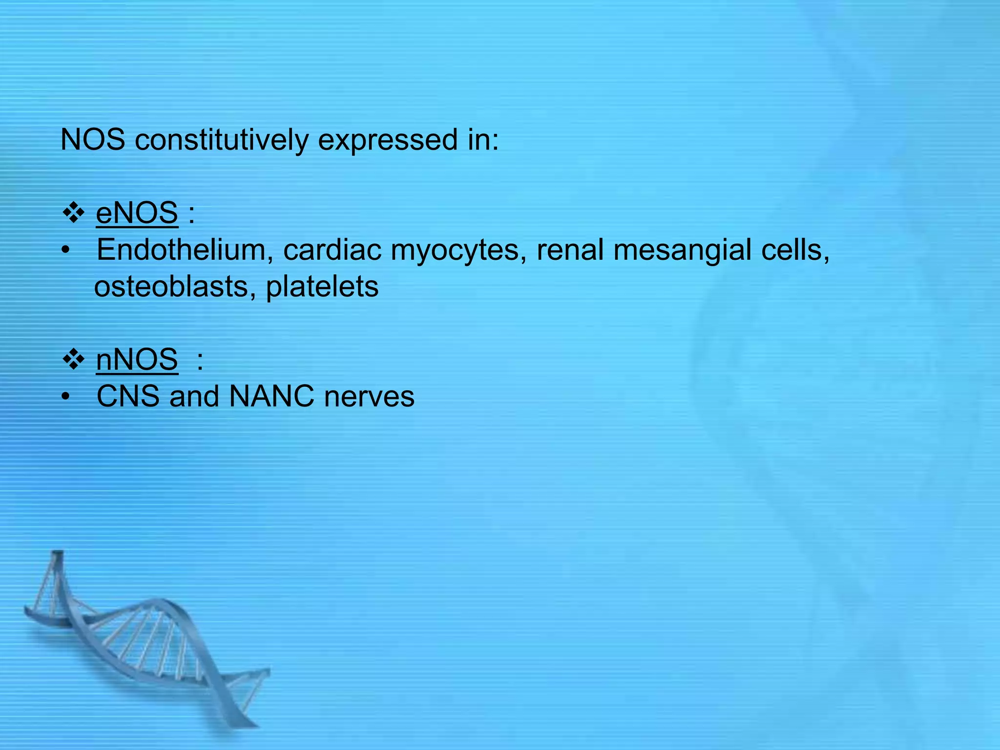 NOS constitutively expressed in:
 eNOS :
• Endothelium, cardiac myocytes, renal mesangial cells,
osteoblasts, platelets
 nNOS :
• CNS and NANC nerves
 
