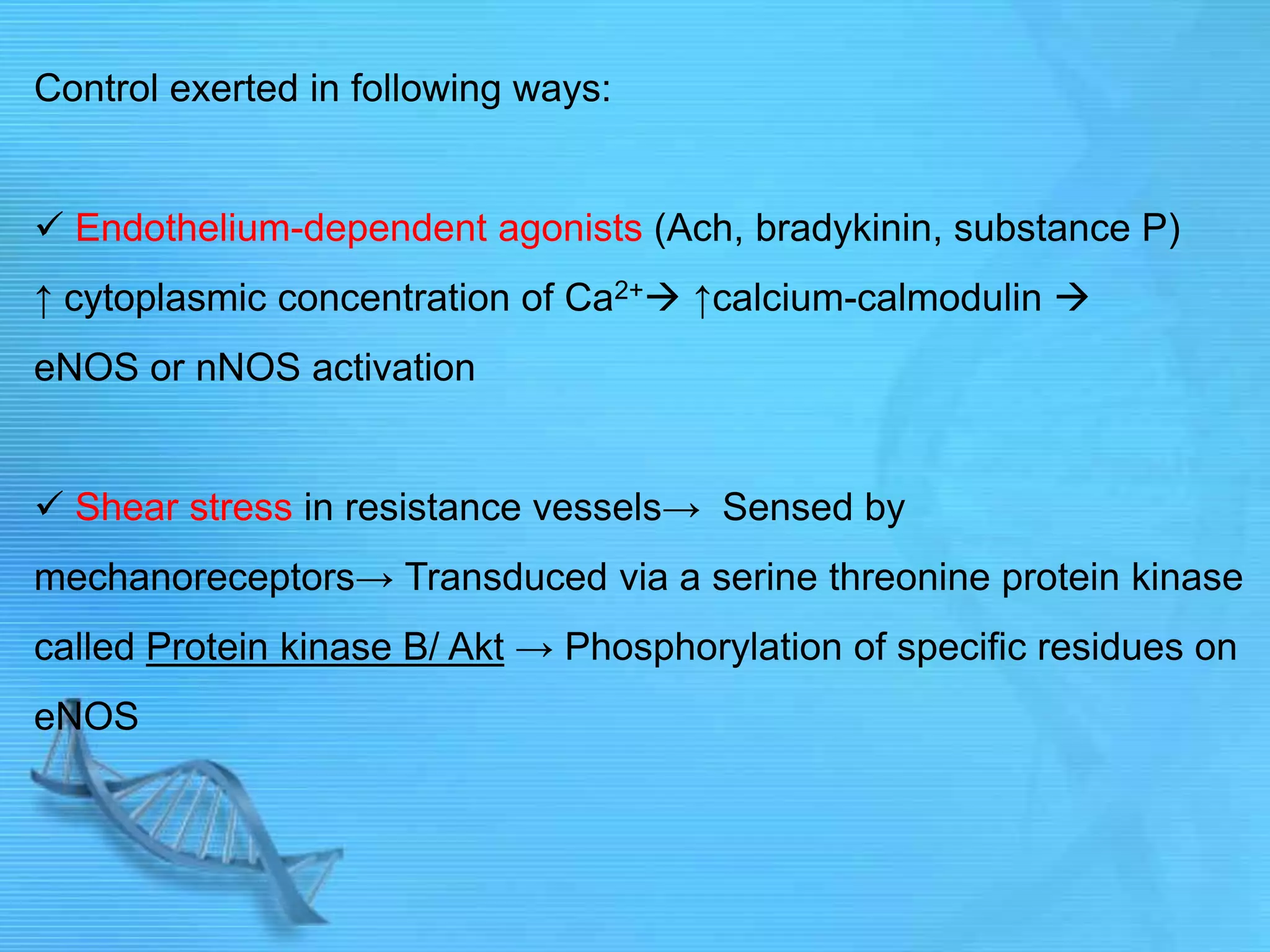 Control exerted in following ways:
 Endothelium-dependent agonists (Ach, bradykinin, substance P)
↑ cytoplasmic concentration of Ca2+ ↑calcium-calmodulin 
eNOS or nNOS activation
 Shear stress in resistance vessels→ Sensed by
mechanoreceptors→ Transduced via a serine threonine protein kinase
called Protein kinase B/ Akt → Phosphorylation of specific residues on
eNOS
 