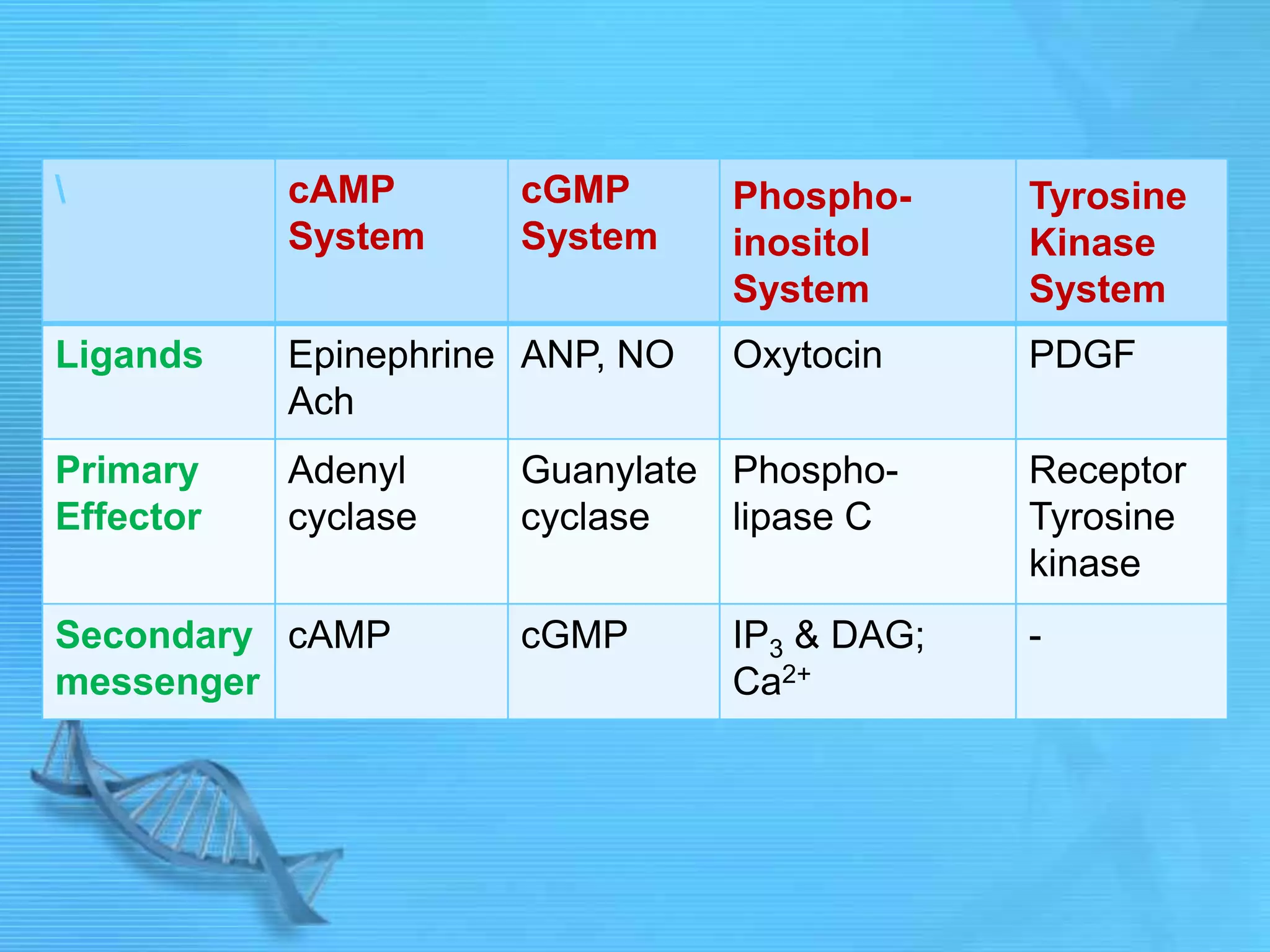 cAMP
System
cGMP
System
Phospho-
inositol
System
Tyrosine
Kinase
System
Ligands Epinephrine
Ach
ANP, NO Oxytocin PDGF
Primary
Effector
Adenyl
cyclase
Guanylate
cyclase
Phospho-
lipase C
Receptor
Tyrosine
kinase
Secondary
messenger
cAMP cGMP IP3 & DAG;
Ca2+
-
 