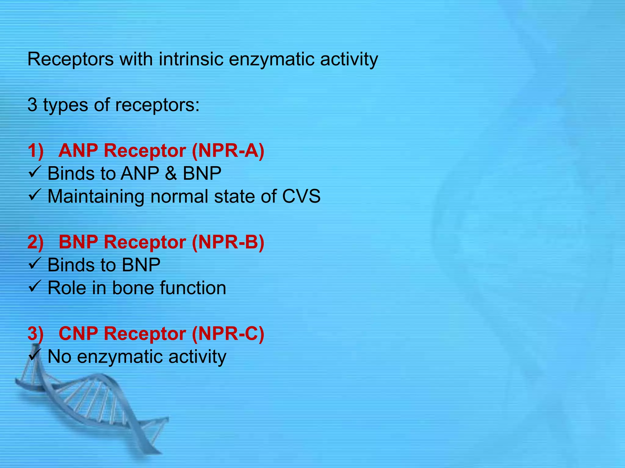 Receptors with intrinsic enzymatic activity
3 types of receptors:
1) ANP Receptor (NPR-A)
 Binds to ANP & BNP
 Maintaining normal state of CVS
2) BNP Receptor (NPR-B)
 Binds to BNP
 Role in bone function
3) CNP Receptor (NPR-C)
 No enzymatic activity
 