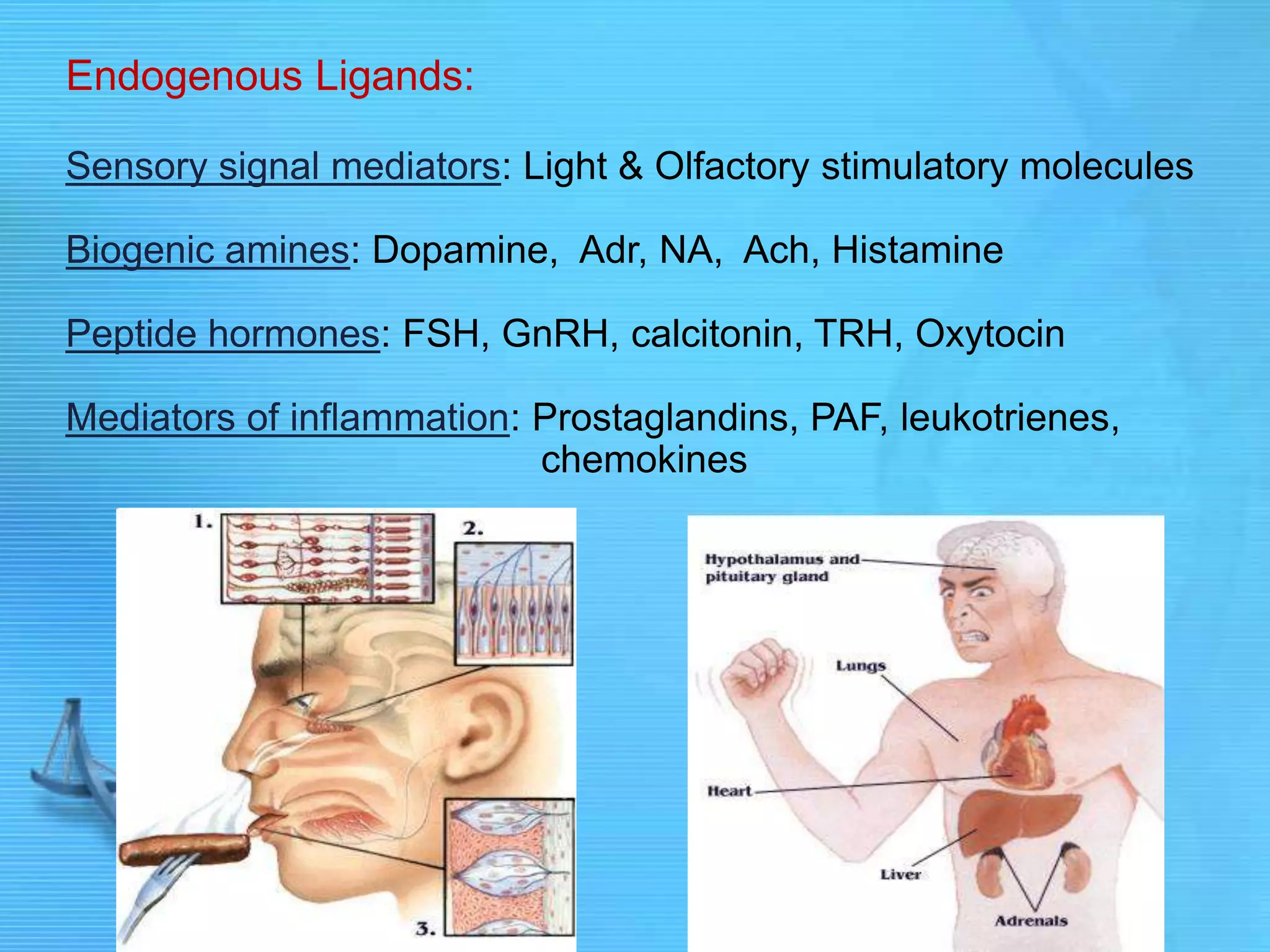 Endogenous Ligands:
Sensory signal mediators: Light & Olfactory stimulatory molecules
Biogenic amines: Dopamine, Adr, NA, Ach, Histamine
Peptide hormones: FSH, GnRH, calcitonin, TRH, Oxytocin
Mediators of inflammation: Prostaglandins, PAF, leukotrienes,
chemokines
 