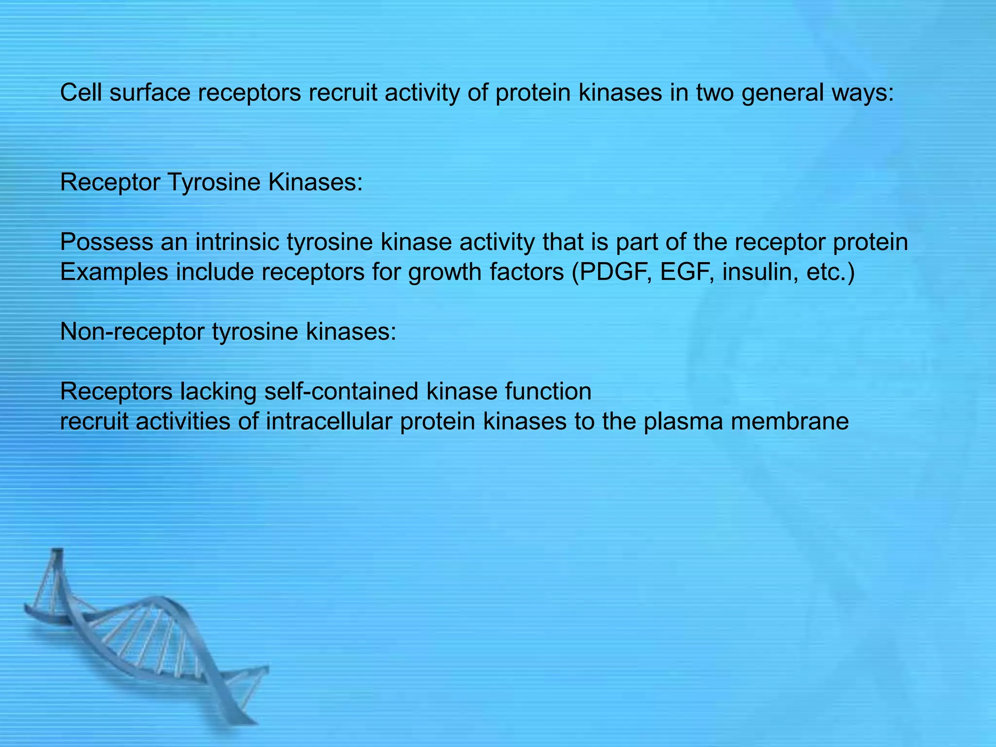 Cell surface receptors recruit activity of protein kinases in two general ways:
Receptor Tyrosine Kinases:
Possess an intrinsic tyrosine kinase activity that is part of the receptor protein
Examples include receptors for growth factors (PDGF, EGF, insulin, etc.)
Non-receptor tyrosine kinases:
Receptors lacking self-contained kinase function
recruit activities of intracellular protein kinases to the plasma membrane
 