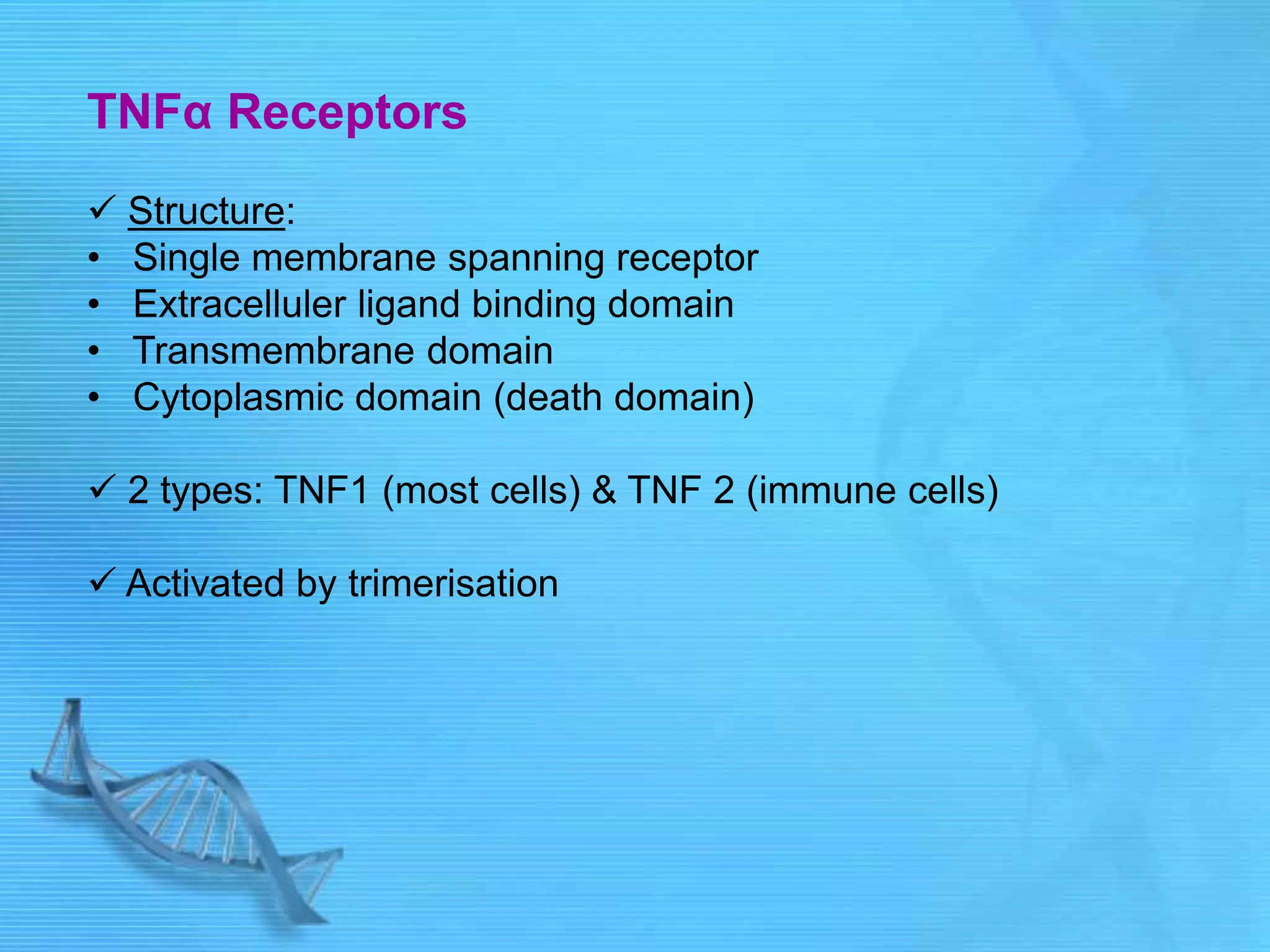 TNFα Receptors
 Structure:
• Single membrane spanning receptor
• Extracelluler ligand binding domain
• Transmembrane domain
• Cytoplasmic domain (death domain)
 2 types: TNF1 (most cells) & TNF 2 (immune cells)
 Activated by trimerisation
 