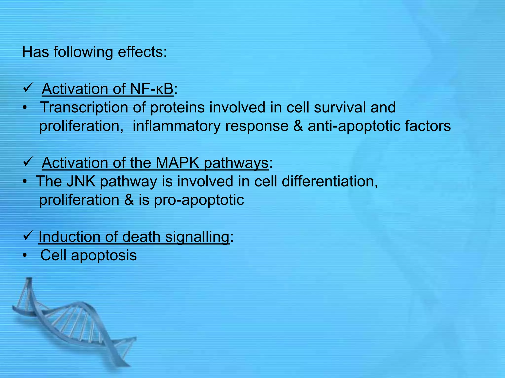 Has following effects:
 Activation of NF-κB:
• Transcription of proteins involved in cell survival and
proliferation, inflammatory response & anti-apoptotic factors
 Activation of the MAPK pathways:
• The JNK pathway is involved in cell differentiation,
proliferation & is pro-apoptotic
 Induction of death signalling:
• Cell apoptosis
 