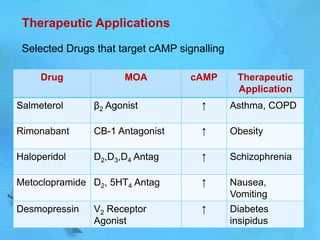 Therapeutic Applications
Selected Drugs that target cAMP signalling
Drug MOA cAMP Therapeutic
Application
Salmeterol β2 Agonist ↑ Asthma, COPD
Rimonabant CB-1 Antagonist ↑ Obesity
Haloperidol D2,D3,D4 Antag ↑ Schizophrenia
Metoclopramide D2, 5HT4 Antag ↑ Nausea,
Vomiting
Desmopressin V2 Receptor
Agonist
↑ Diabetes
insipidus
 