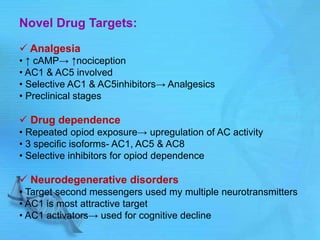 Novel Drug Targets:
 Analgesia
• ↑ cAMP→ ↑nociception
• AC1 & AC5 involved
• Selective AC1 & AC5inhibitors→ Analgesics
• Preclinical stages
 Drug dependence
• Repeated opiod exposure→ upregulation of AC activity
• 3 specific isoforms- AC1, AC5 & AC8
• Selective inhibitors for opiod dependence
 Neurodegenerative disorders
• Target second messengers used my multiple neurotransmitters
• AC1 is most attractive target
• AC1 activators→ used for cognitive decline
 