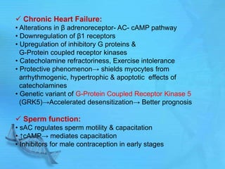  Chronic Heart Failure:
• Alterations in β adrenoreceptor- AC- cAMP pathway
• Downregulation of β1 receptors
• Upregulation of inhibitory G proteins &
G-Protein coupled receptor kinases
• Catecholamine refractoriness, Exercise intolerance
• Protective phenomenon→ shields myocytes from
arrhythmogenic, hypertrophic & apoptotic effects of
catecholamines
• Genetic variant of G-Protein Coupled Receptor Kinase 5
(GRK5)→Accelerated desensitization→ Better prognosis
 Sperm function:
• sAC regulates sperm motility & capacitation
• ↑cAMP→ mediates capacitation
• Inhibitors for male contraception in early stages
 