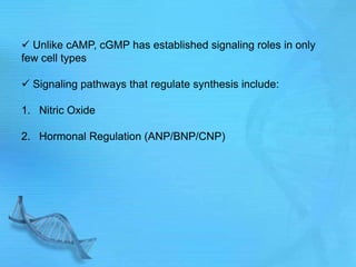  Unlike cAMP, cGMP has established signaling roles in only
few cell types
 Signaling pathways that regulate synthesis include:
1. Nitric Oxide
2. Hormonal Regulation (ANP/BNP/CNP)
 