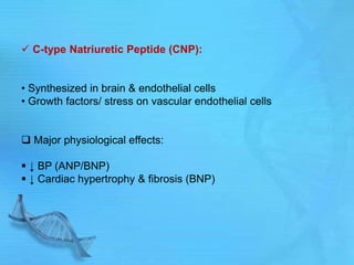  C-type Natriuretic Peptide (CNP):
• Synthesized in brain & endothelial cells
• Growth factors/ stress on vascular endothelial cells
 Major physiological effects:
 ↓ BP (ANP/BNP)
 ↓ Cardiac hypertrophy & fibrosis (BNP)
 