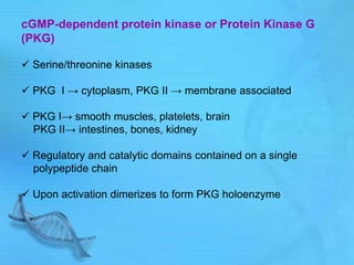 cGMP-dependent protein kinase or Protein Kinase G
(PKG)
 Serine/threonine kinases
 PKG I → cytoplasm, PKG II → membrane associated
 PKG I→ smooth muscles, platelets, brain
PKG II→ intestines, bones, kidney
 Regulatory and catalytic domains contained on a single
polypeptide chain
 Upon activation dimerizes to form PKG holoenzyme
 