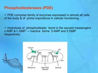 Phosphodiesterases (PDE)
 PDE comprise family of enzymes expressed in almost all cells
of the body & of prime importance in cellular functioning
 Hydrolysis of phosphodiester bond in the second messengers
c AMP & c GMP → inactive forms 5 AMP and 5 GMP
respectively
 