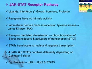  JAK-STAT Receptor Pathway
 Ligands: Interferon Ɣ, Growth hormone, Prolactin
 Receptors have no intrinsic activity
 Intracellular domain binds intracellular tyrosine kinase→
Janus Kinase (JAK)
 Receptor mediated dimerization → phosphorylation of
Signal transducers & activators of transcription (STAT)
 STATs translocate to nucleus & regulate transcription
 4 JAKs & 6 STATs combine differently depending on
Cell type & signal
 Eg: Prolactin→ JAK1, JAK2 & STAT5
 