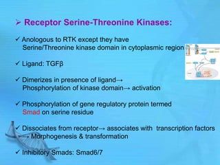  Receptor Serine-Threonine Kinases:
 Anologous to RTK except they have
Serine/Threonine kinase domain in cytoplasmic region
 Ligand: TGFβ
 Dimerizes in presence of ligand→
Phosphorylation of kinase domain→ activation
 Phosphorylation of gene regulatory protein termed
Smad on serine residue
 Dissociates from receptor→ associates with transcription factors
→ Morphogenesis & transformation
 Inhibitory Smads: Smad6/7
 