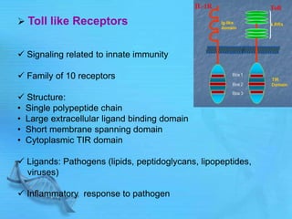  Toll like Receptors
 Signaling related to innate immunity
 Family of 10 receptors
 Structure:
• Single polypeptide chain
• Large extracellular ligand binding domain
• Short membrane spanning domain
• Cytoplasmic TIR domain
 Ligands: Pathogens (lipids, peptidoglycans, lipopeptides,
viruses)
 Inflammatory response to pathogen
 