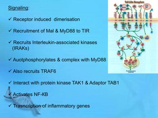 Signaling:
 Receptor induced dimerisation
 Recruitment of Mal & MyD88 to TIR
 Recruits Interleukin-associated kinases
(IRAKs)
 Auotphosphorylates & complex with MyD88
 Also recruits TRAF6
 Interact with protein kinase TAK1 & Adaptor TAB1
 Activates NF-КB
 Trasncription of inflammatory genes
 
