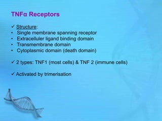 TNFα Receptors
 Structure:
• Single membrane spanning receptor
• Extracelluler ligand binding domain
• Transmembrane domain
• Cytoplasmic domain (death domain)
 2 types: TNF1 (most cells) & TNF 2 (immune cells)
 Activated by trimerisation
 