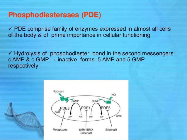 how to achieve smooth contraction at a given force level Measured at the sarcomere level it is more difficult to achieve fine gradations in the force of contraction smooth muscle contraction is much slower. how to achieve smooth contraction at a given force level Measured at the sarcomere level it is more difficult to achieve fine gradations in the force of contraction smooth muscle contraction is much slower.
