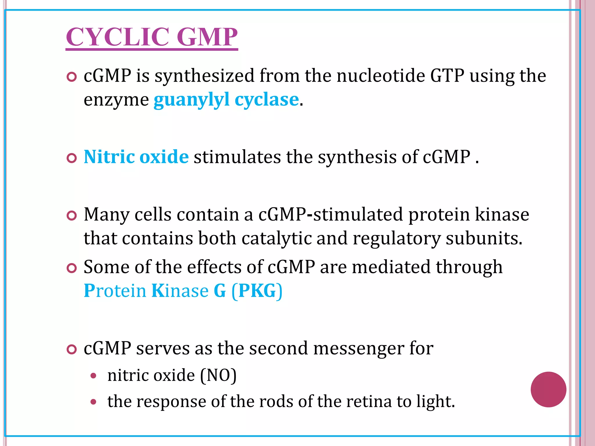 CYCLIC GMP
 cGMP is synthesized from the nucleotide GTP using the
enzyme guanylyl cyclase.
 Nitric oxide stimulates the synthesis of cGMP .
 Many cells contain a cGMP-stimulated protein kinase
that contains both catalytic and regulatory subunits.
 Some of the effects of cGMP are mediated through
Protein Kinase G (PKG)
 cGMP serves as the second messenger for
 nitric oxide (NO)
 the response of the rods of the retina to light.
 