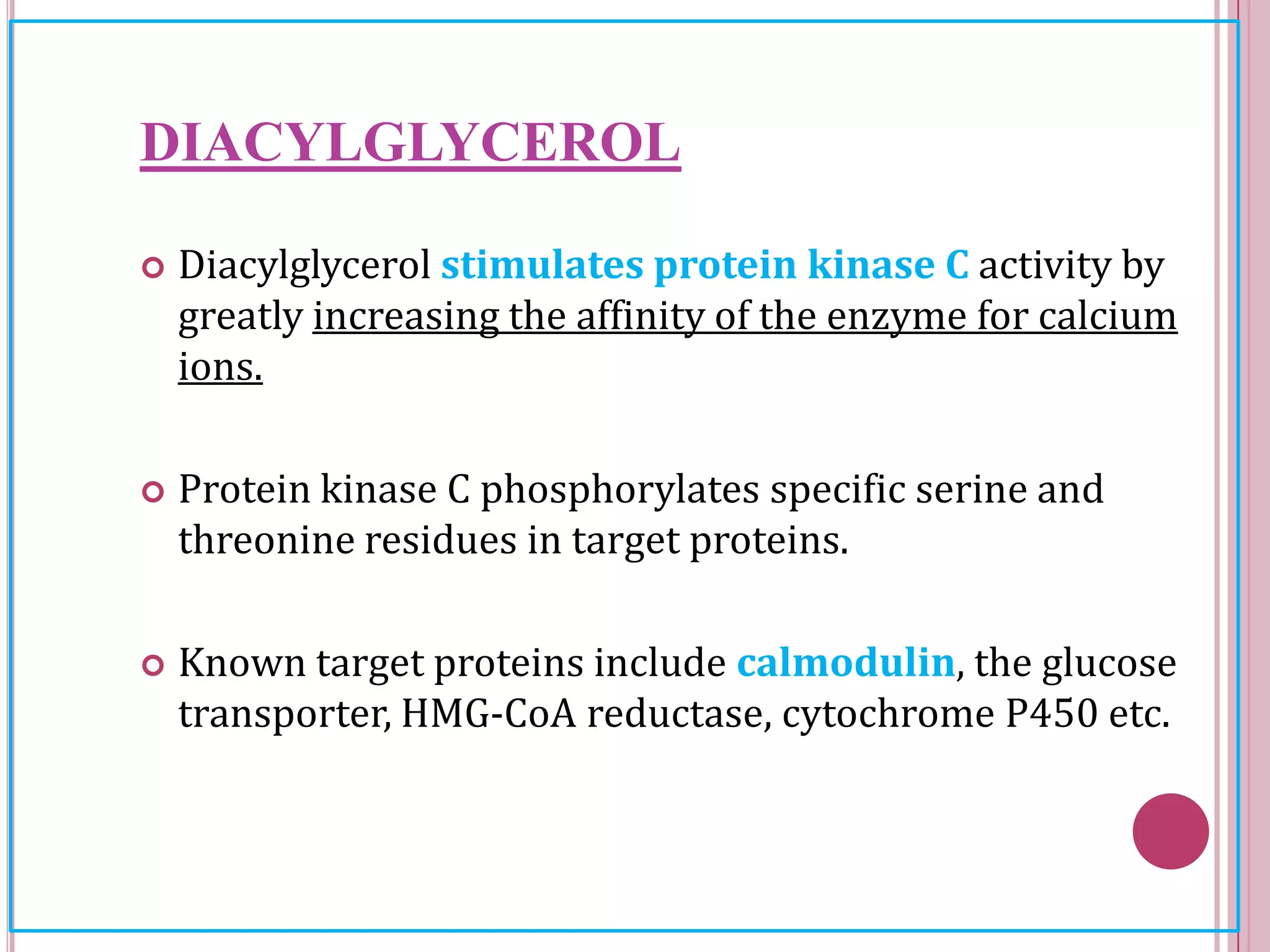 DIACYLGLYCEROL
 Diacylglycerol stimulates protein kinase C activity by
greatly increasing the affinity of the enzyme for calcium
ions.
 Protein kinase C phosphorylates specific serine and
threonine residues in target proteins.
 Known target proteins include calmodulin, the glucose
transporter, HMG-CoA reductase, cytochrome P450 etc.
 
