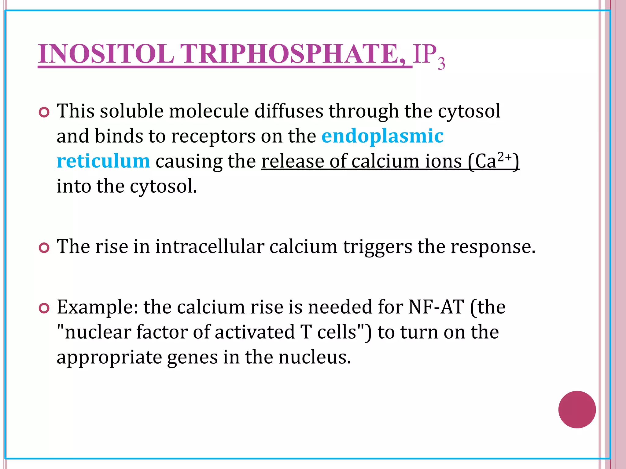 INOSITOL TRIPHOSPHATE, IP3
 This soluble molecule diffuses through the cytosol
and binds to receptors on the endoplasmic
reticulum causing the release of calcium ions (Ca2+)
into the cytosol.
 The rise in intracellular calcium triggers the response.
 Example: the calcium rise is needed for NF-AT (the
"nuclear factor of activated T cells") to turn on the
appropriate genes in the nucleus.
 