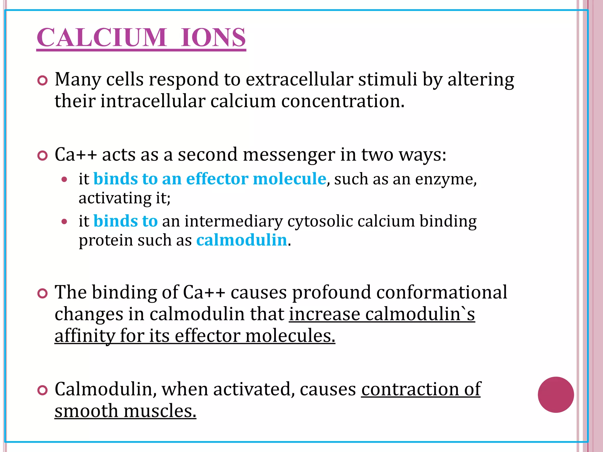 CALCIUM IONS
 Many cells respond to extracellular stimuli by altering
their intracellular calcium concentration.
 Ca++ acts as a second messenger in two ways:
 it binds to an effector molecule, such as an enzyme,
activating it;
 it binds to an intermediary cytosolic calcium binding
protein such as calmodulin.
 The binding of Ca++ causes profound conformational
changes in calmodulin that increase calmodulin`s
affinity for its effector molecules.
 Calmodulin, when activated, causes contraction of
smooth muscles.
 