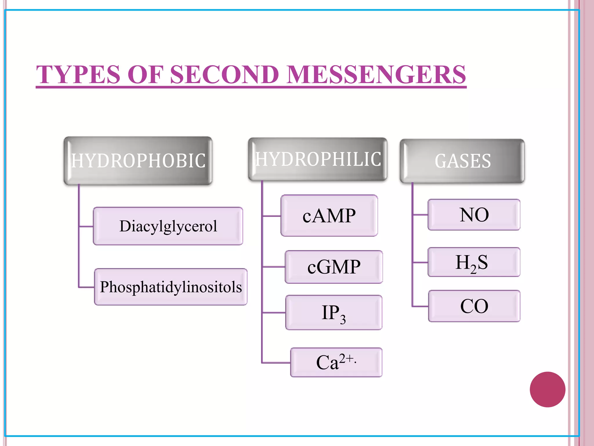 GASES
NO
H2S
CO
HYDROPHOBIC
Diacylglycerol
Phosphatidylinositols
HYDROPHILIC
cAMP
cGMP
IP3
Ca2+.
TYPES OF SECOND MESSENGERS
 