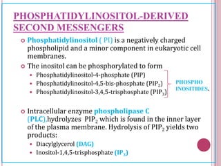 Pip2 Inositol Second messenger system | PPTX