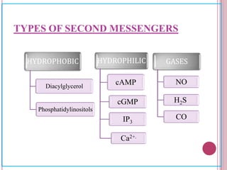 Second messenger system | PPTX