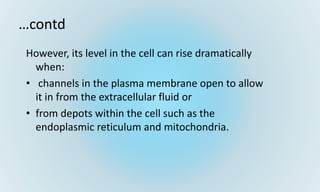…contd
However, its level in the cell can rise dramatically
when:
• channels in the plasma membrane open to allow
it in from the extracellular fluid or
• from depots within the cell such as the
endoplasmic reticulum and mitochondria.
 