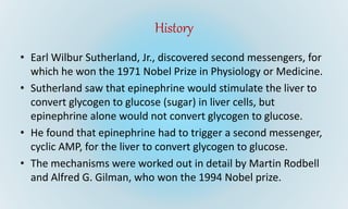 History
• Earl Wilbur Sutherland, Jr., discovered second messengers, for
which he won the 1971 Nobel Prize in Physiology or Medicine.
• Sutherland saw that epinephrine would stimulate the liver to
convert glycogen to glucose (sugar) in liver cells, but
epinephrine alone would not convert glycogen to glucose.
• He found that epinephrine had to trigger a second messenger,
cyclic AMP, for the liver to convert glycogen to glucose.
• The mechanisms were worked out in detail by Martin Rodbell
and Alfred G. Gilman, who won the 1994 Nobel prize.
 