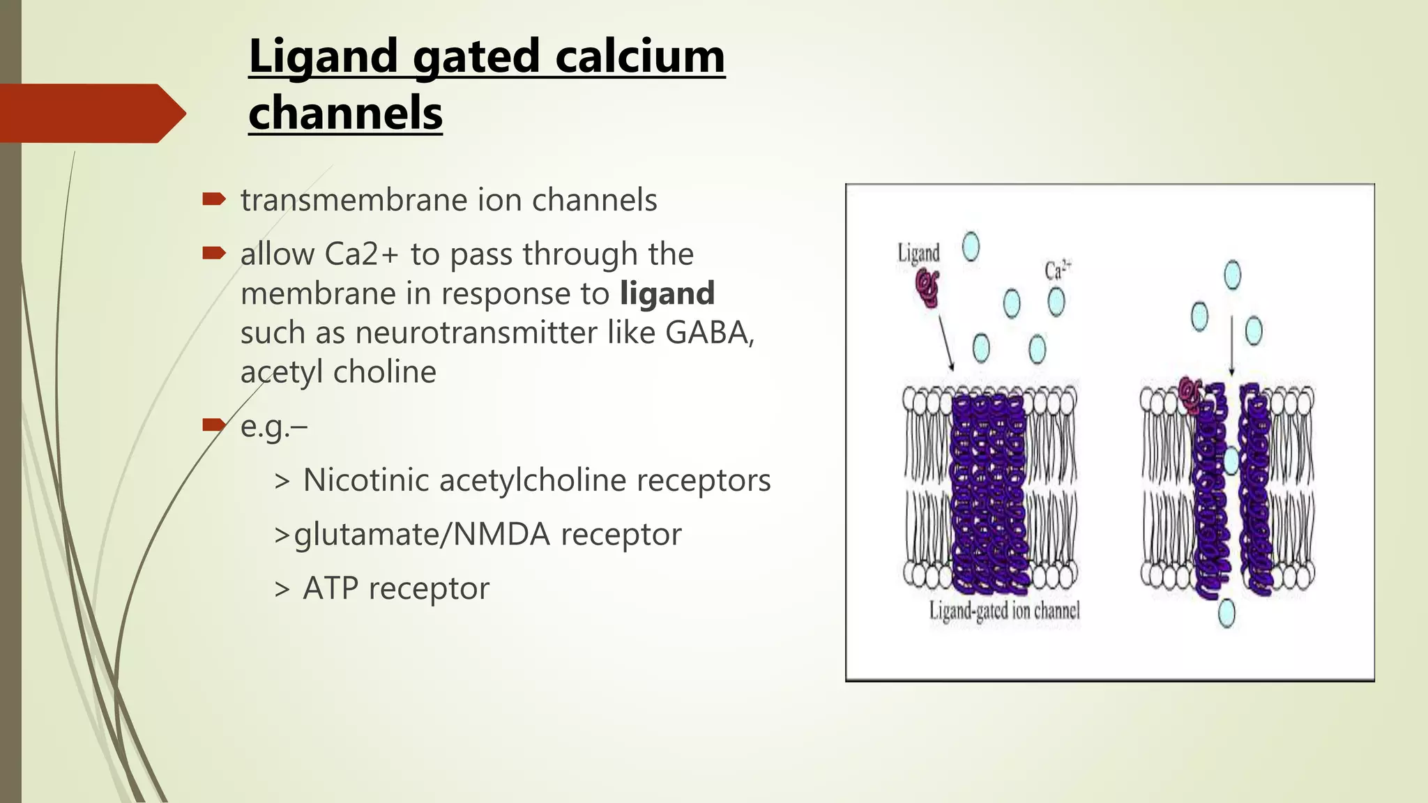  transmembrane ion channels
 allow Ca2+ to pass through the
membrane in response to ligand
such as neurotransmitter like GABA,
acetyl choline
 e.g.–
> Nicotinic acetylcholine receptors
>glutamate/NMDA receptor
> ATP receptor
Ligand gated calcium
channels
 