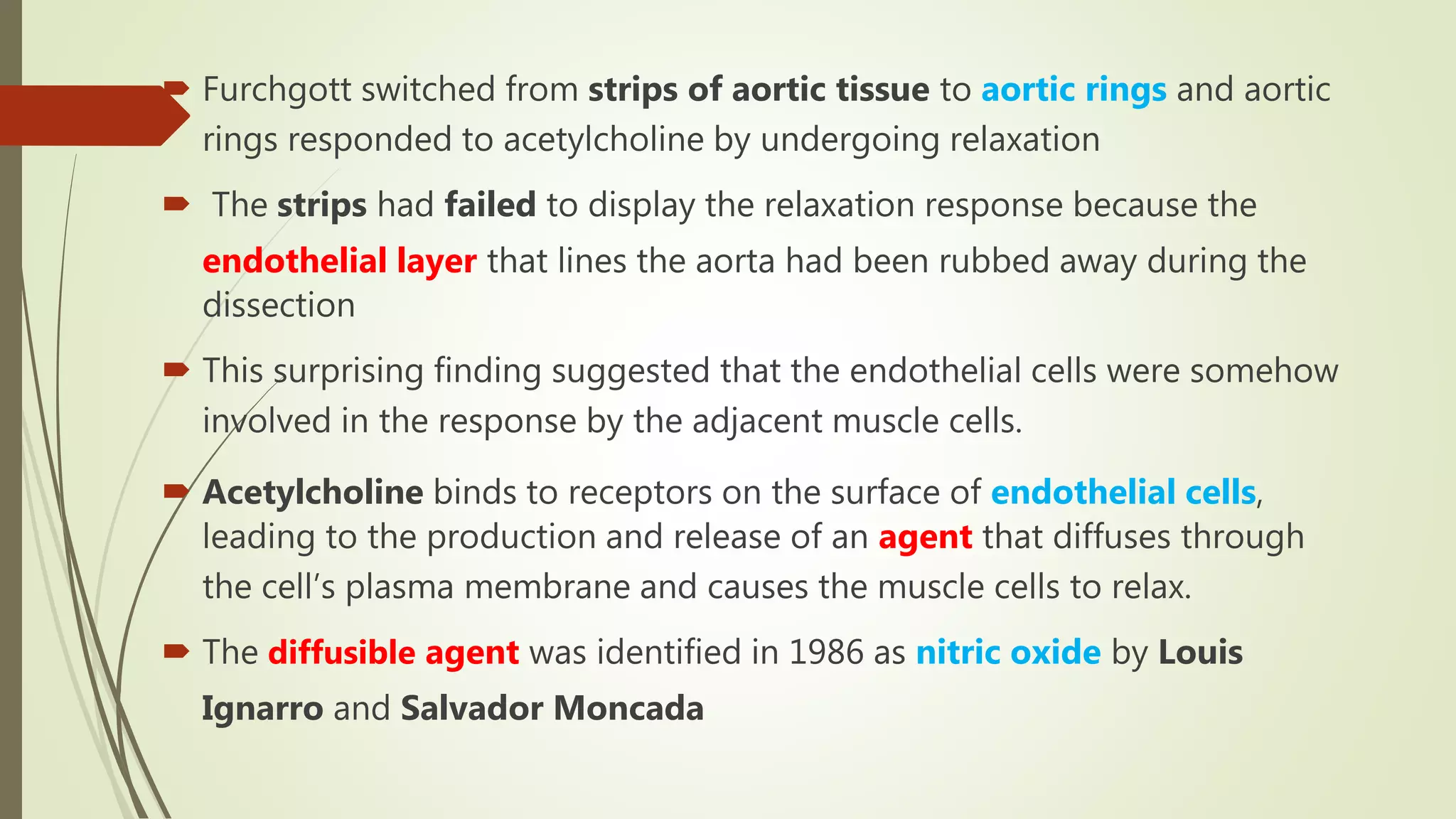  Furchgott switched from strips of aortic tissue to aortic rings and aortic
rings responded to acetylcholine by undergoing relaxation
 The strips had failed to display the relaxation response because the
endothelial layer that lines the aorta had been rubbed away during the
dissection
 This surprising finding suggested that the endothelial cells were somehow
involved in the response by the adjacent muscle cells.
 Acetylcholine binds to receptors on the surface of endothelial cells,
leading to the production and release of an agent that diffuses through
the cell’s plasma membrane and causes the muscle cells to relax.
 The diffusible agent was identified in 1986 as nitric oxide by Louis
Ignarro and Salvador Moncada
 