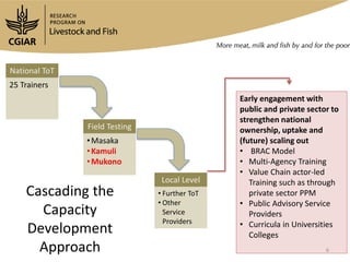 Capacity development in the Uganda smallholder pig value chain development: Testing of (four) Training Modules pertinent to best-bets themes with representatives from  Kamuli and Mukono District