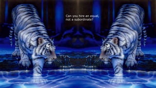 63
Can you hire an equal,
not a subordinate?
 