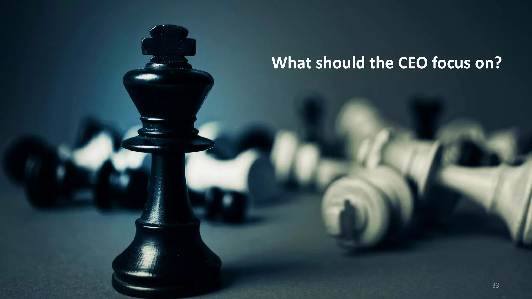 What should the CEO focus on?
33
 