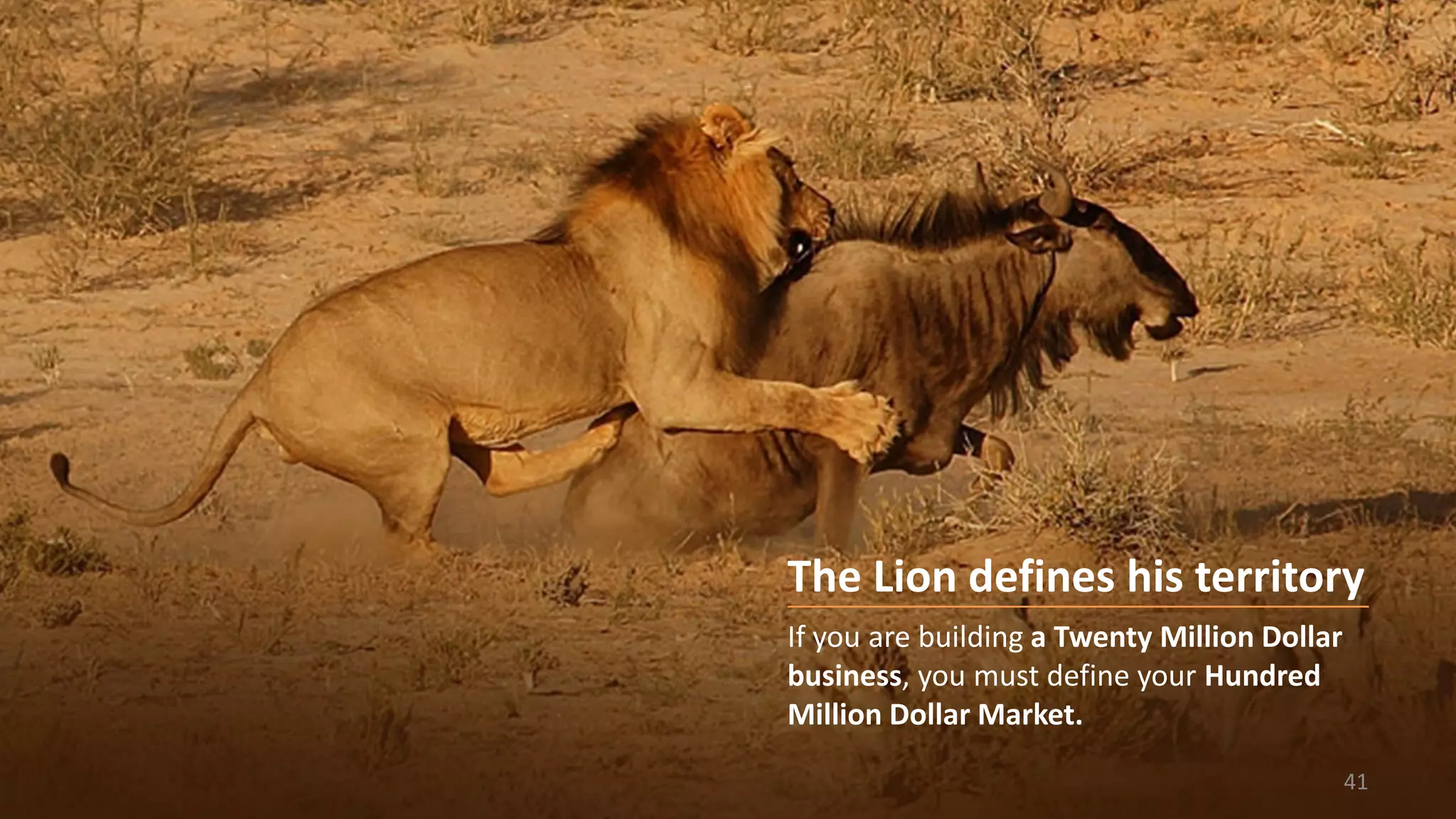 The Lion defines his territory
If you are building a Twenty Million Dollar
business, you must define your Hundred
Million Dollar Market.
41
 