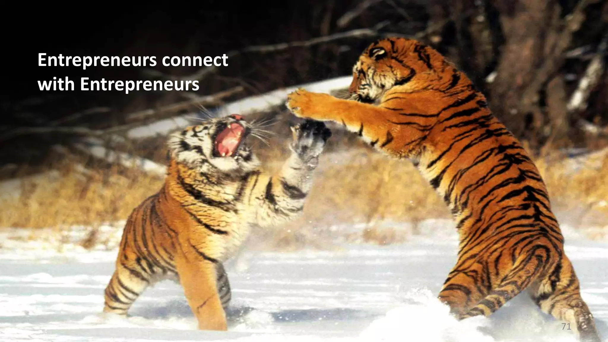 Entrepreneurs connect
with Entrepreneurs
71
 