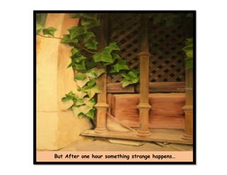 But After one hour something strange happens…
 