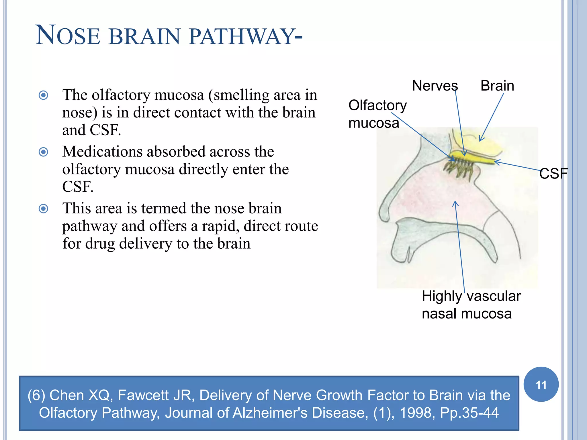 Nasal Drug Delivery System | PPTX