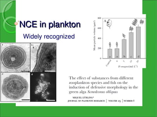 NCE in plankton
Widely recognized 
 
